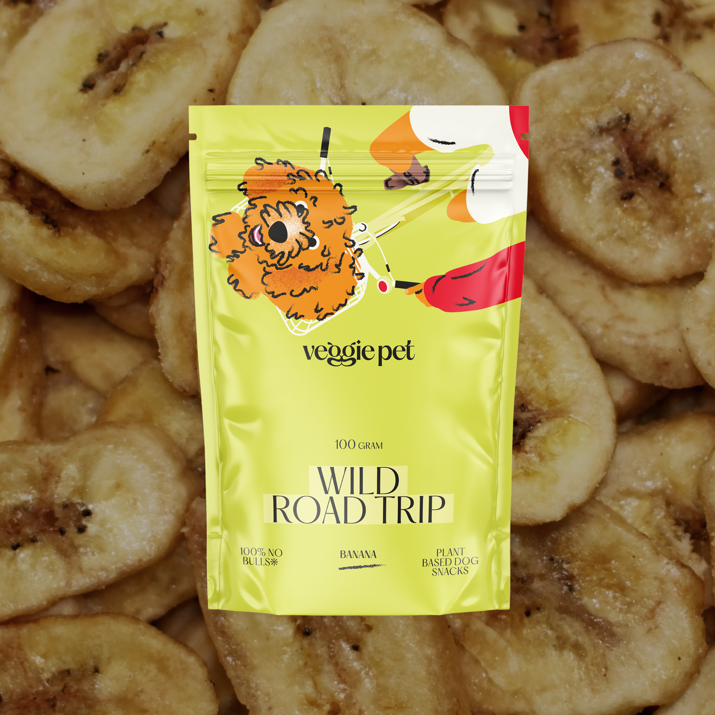 Veggie Snacks